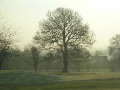 Mapledurham